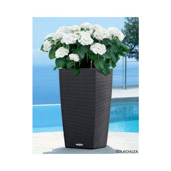 ドイツ製 デザイン プランター コテージ 40 W40cm H75cm 底面灌水セット付 植木鉢 LE-6040 レチューザ 樹脂 フラワーポット スクエア 植木鉢 鉢植え おしゃれの画像