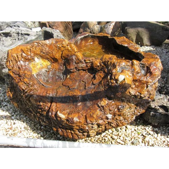 つくばい 珪化木 木化石 手水鉢 水鉢 大きい 庭石 天然石 溜まり石