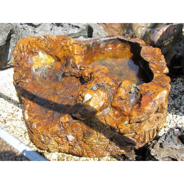 つくばい 珪化木 木化石 手水鉢 水鉢 大きい 庭石 天然石 溜まり石