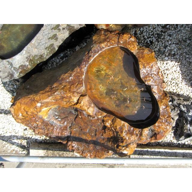 つくばい 珪化木 木化石 手水鉢 水鉢 大きい 庭石 天然石 溜まり石
