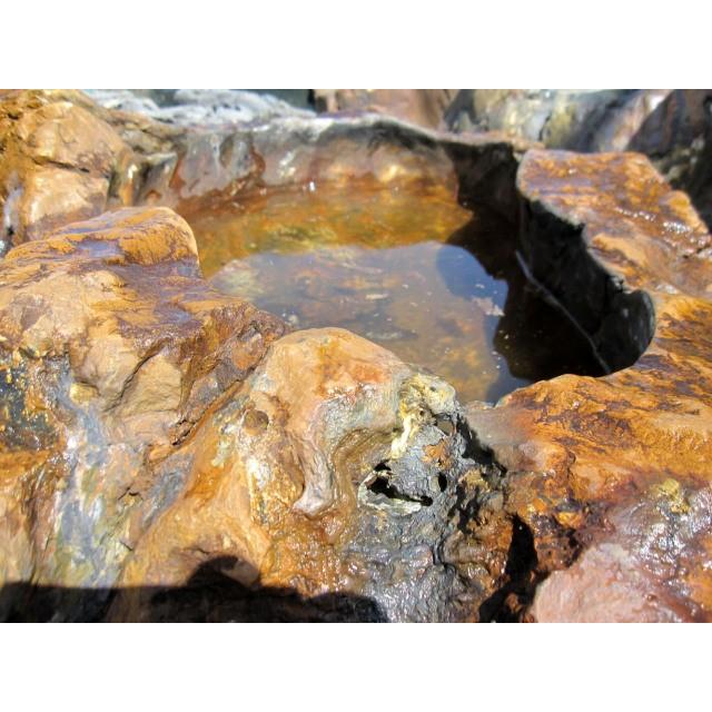 つくばい 珪化木 木化石 手水鉢 水鉢 大きい 庭石 天然石 溜まり石