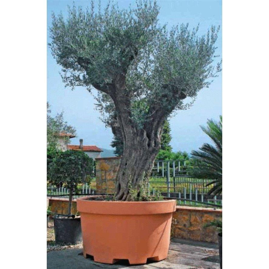デザイン大型コンテナ 400L φ105cm イタリア製 プランター 植木鉢 大きい 生産者 農園 プロ 巨大 果樹 樹木 シンボルツリー 貯水 タンク 水鉢 水槽 池 プールの画像