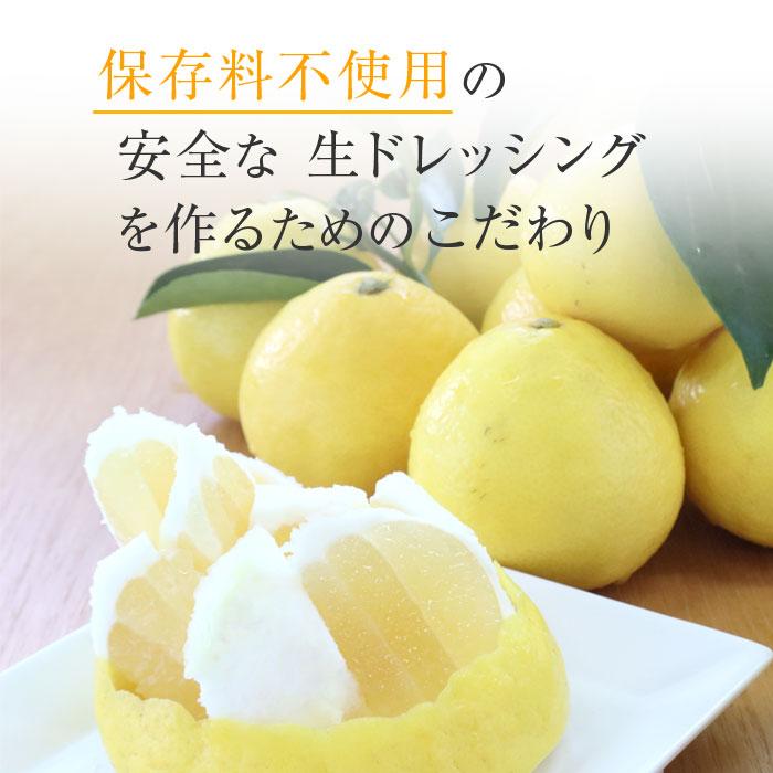 日向夏ドレッシング 200ml 宮崎県産 日向夏みかん 果汁使用 |  | 01