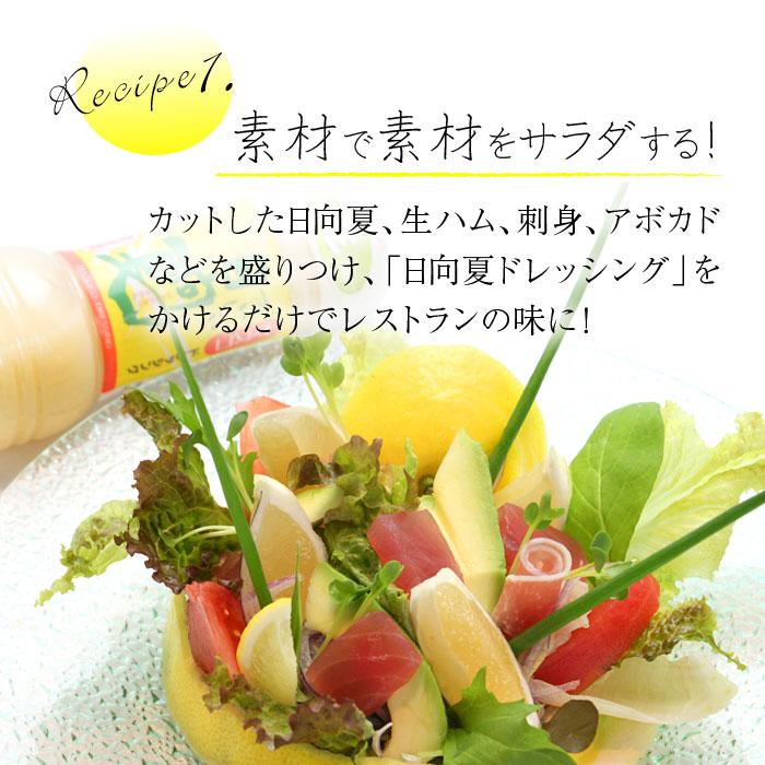 日向夏ドレッシング 200ml 宮崎県産 日向夏みかん 果汁使用 |  | 03