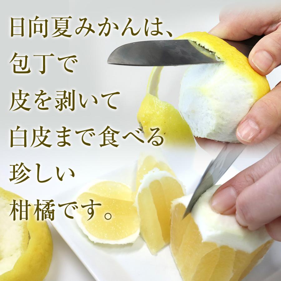 日向夏ドレッシング 200ml 宮崎県産 日向夏みかん 果汁使用 |  | 08