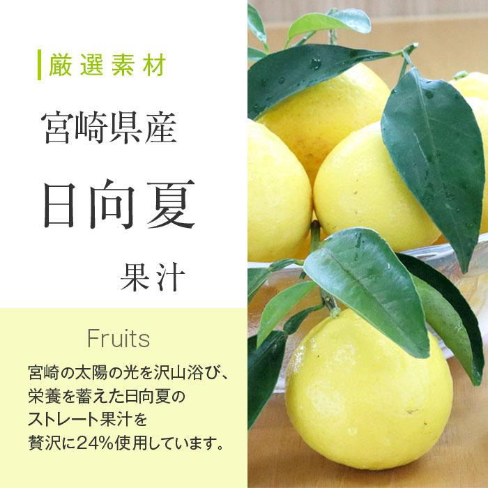 日向夏ドレッシング 300ml 宮崎県産 日向夏みかん 果汁使用 |  | 02