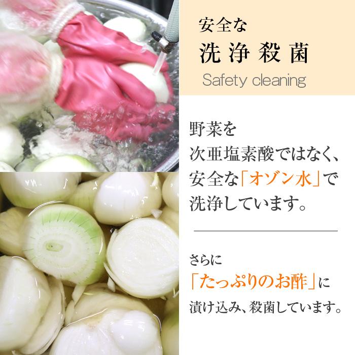 たまねぎドレッシング 200ml 北海道産 玉ねぎ 使用 マスコ 生ドレッシング |  | 04