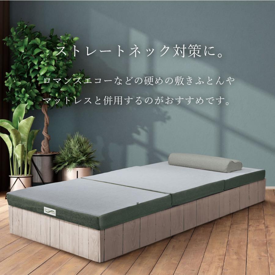 ロマンスエコー枕　専用カバー付き ロマンスエコー枕 専用カバー付き ロマンス小杉 エコーまくら ネックS