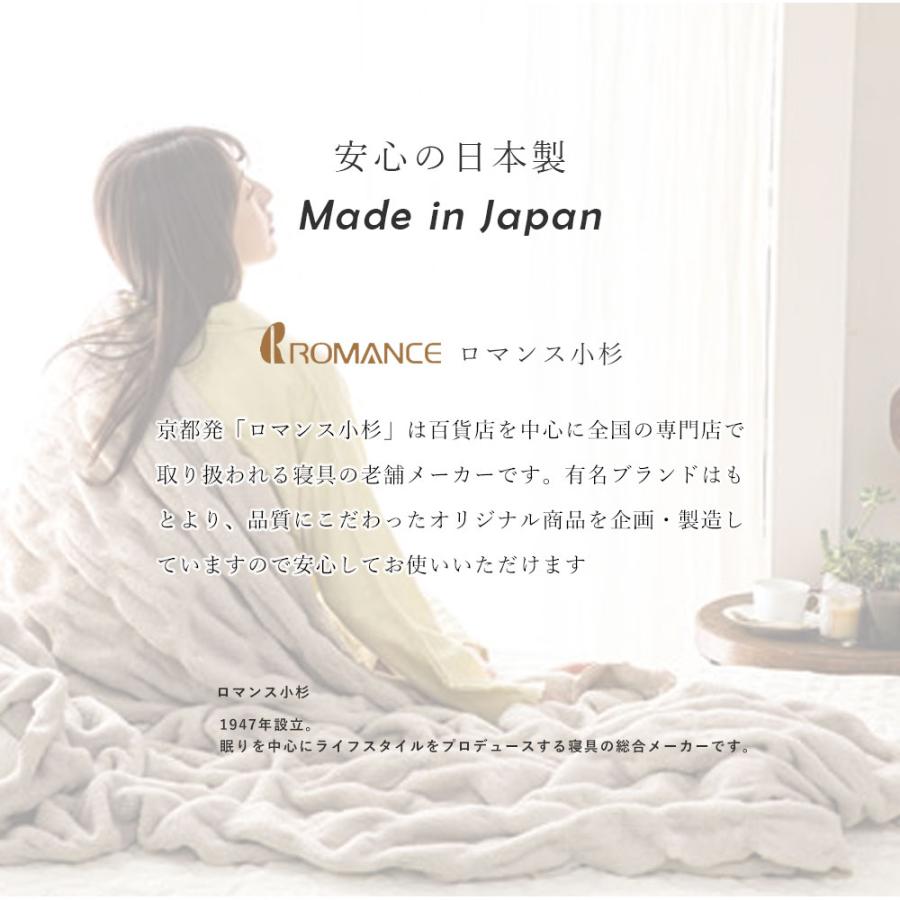 ロマンス小杉 掛けふとんカバー ダブルロング V&A いちご泥棒