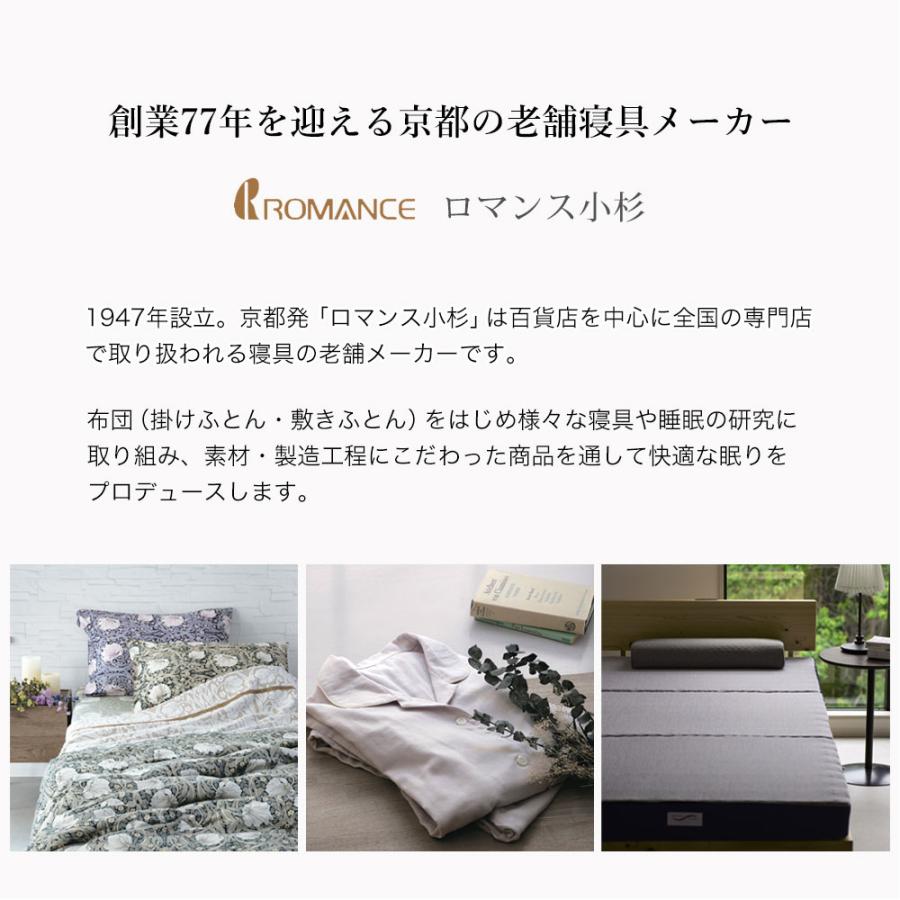 ロマンス小杉 敷きパッド セミダブル ウォッシュキルト V&A いちご泥棒