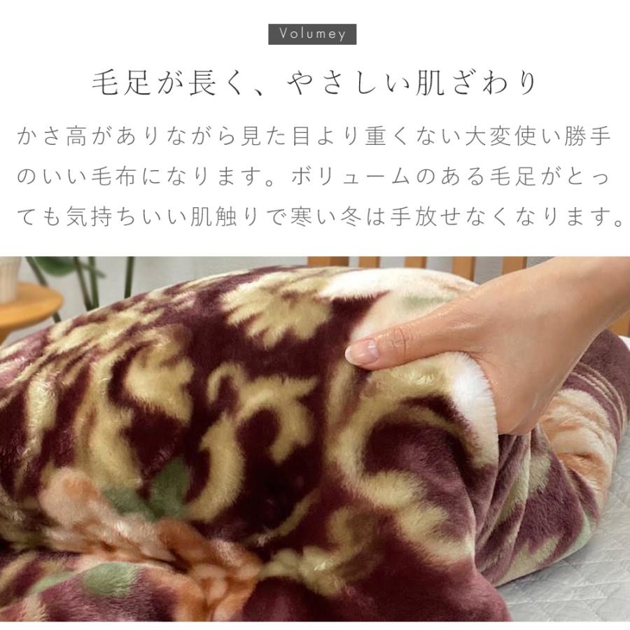 西川（nishikawa） 毛布 シングル ボリュームタイプ 2枚合わせ毛布 衿