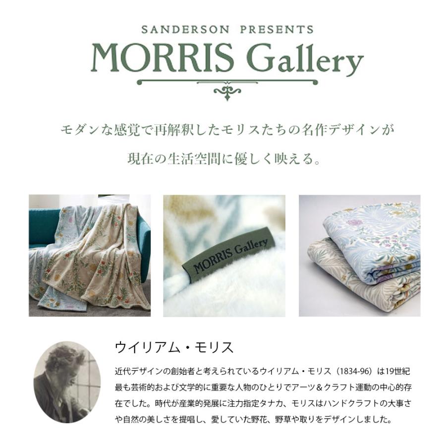 西川（nishikawa） 綿毛布 シングル モリスギャラリー 日本製 マイヤー