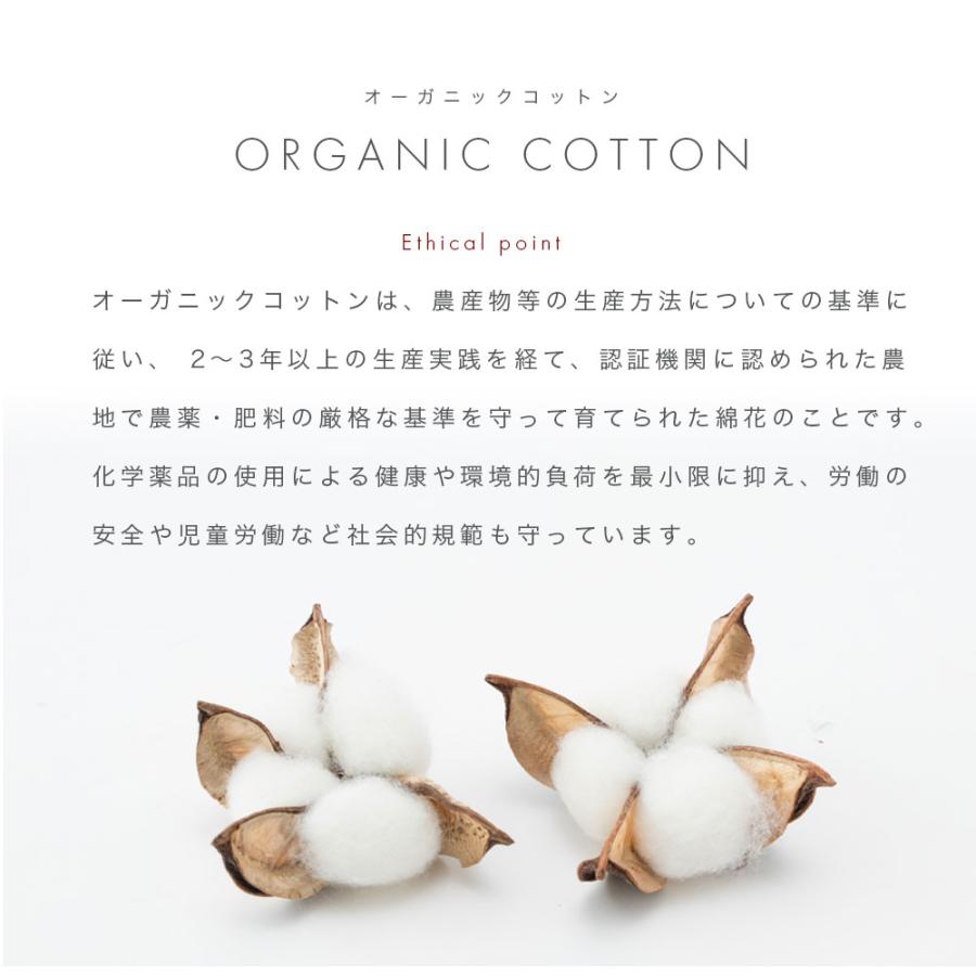 西川 綿毛布 シングル モリスギャラリー 日本製 マイヤー織り