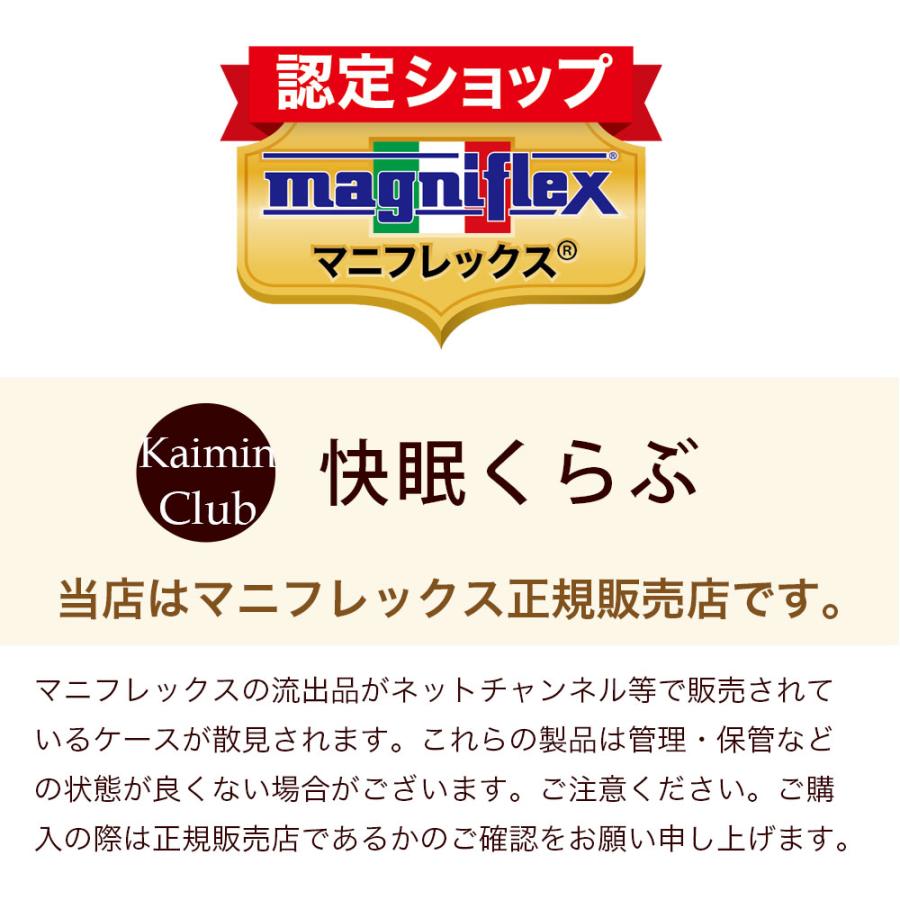 magniflex（マニフレックス） バイオシェイプピロー レギュラータイプ