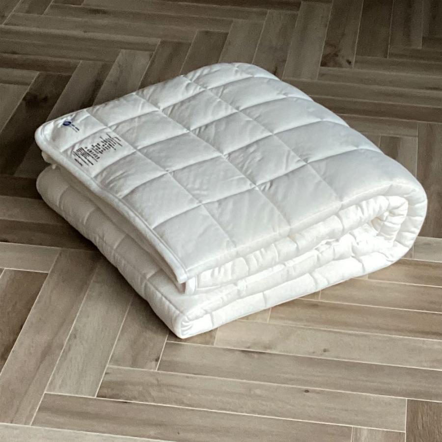 西川（nishikawa） PREMIUM WOOL ライトウエイト掛けふとん シングル