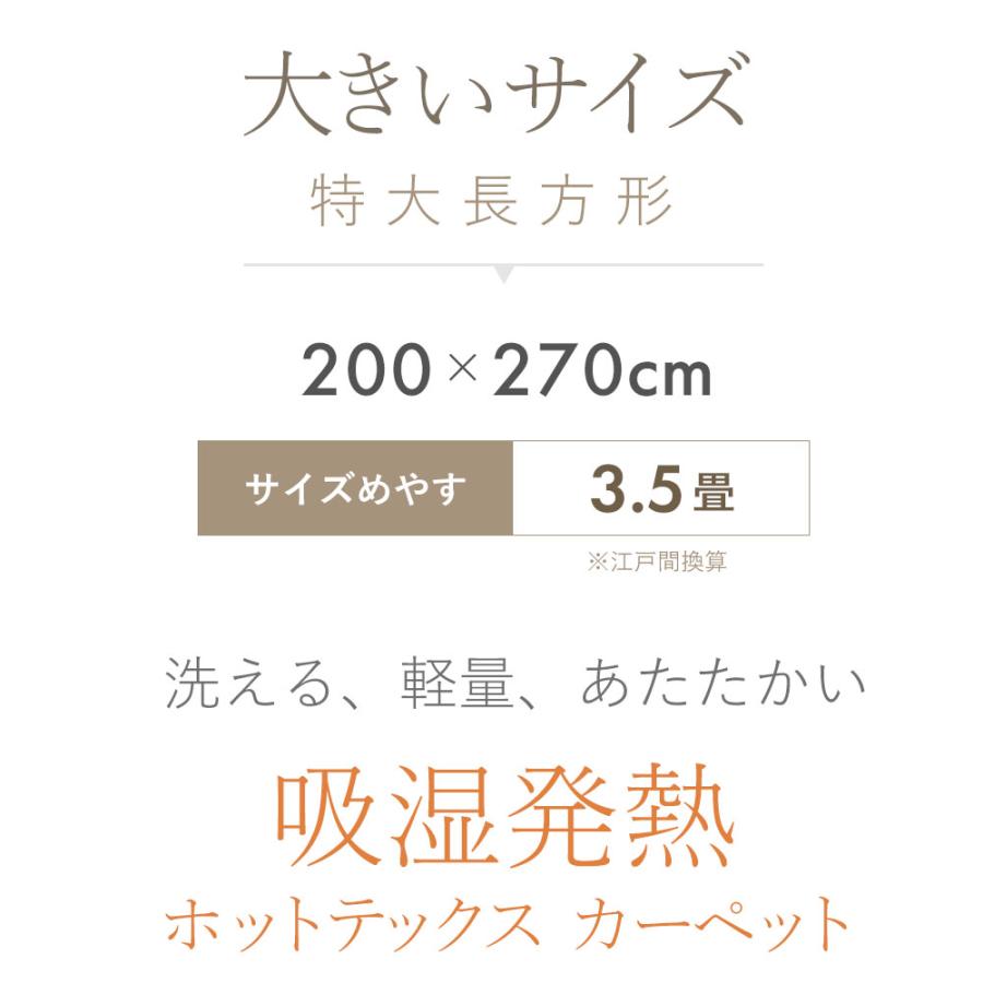 ラグマット 洗える 長方形 3畳用 カーペット 軽量 ウォッシャブル