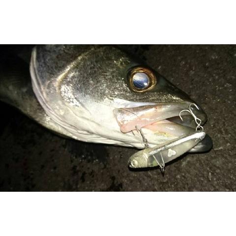 ぶるぶる50 NEVER LATE JAPAN ライトソルトゲーム用バイブレーション