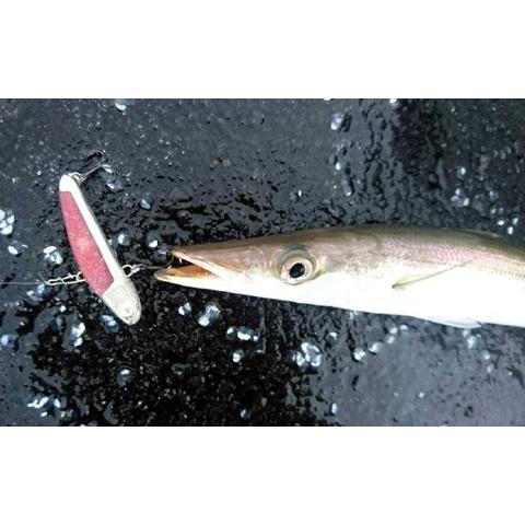 ぶるぶる50 NEVER LATE JAPAN ライトソルトゲーム用バイブレーション