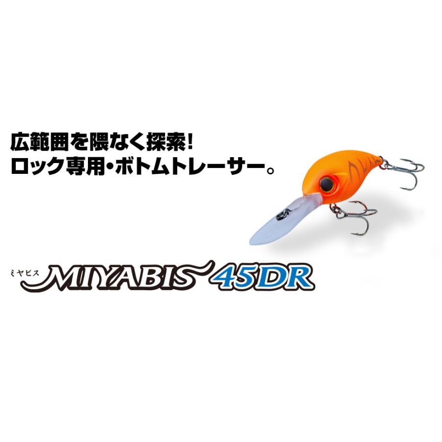 アクアウェーブ ミヤビス45DR ロックフィッシュクランクベイト | CORMORAN | 07