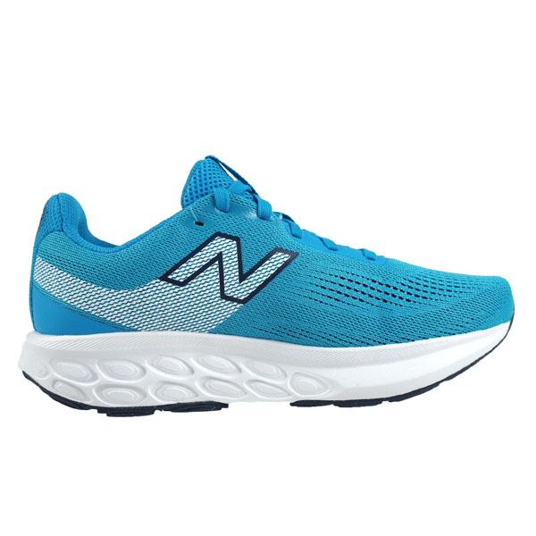 New Balance（ニューバランス） New Balance Fresh Foam 520 v9 M520