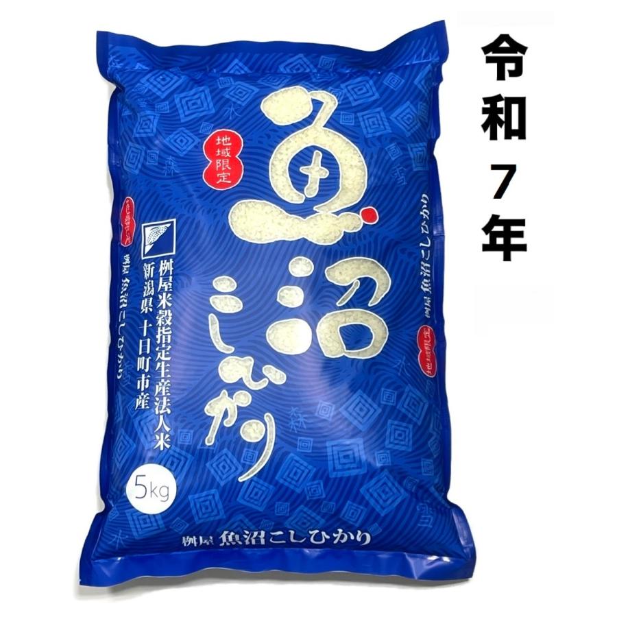 コシヒカリ 令和7年 地域限定 新潟県十日町市産 魚沼こしひかり 5kg