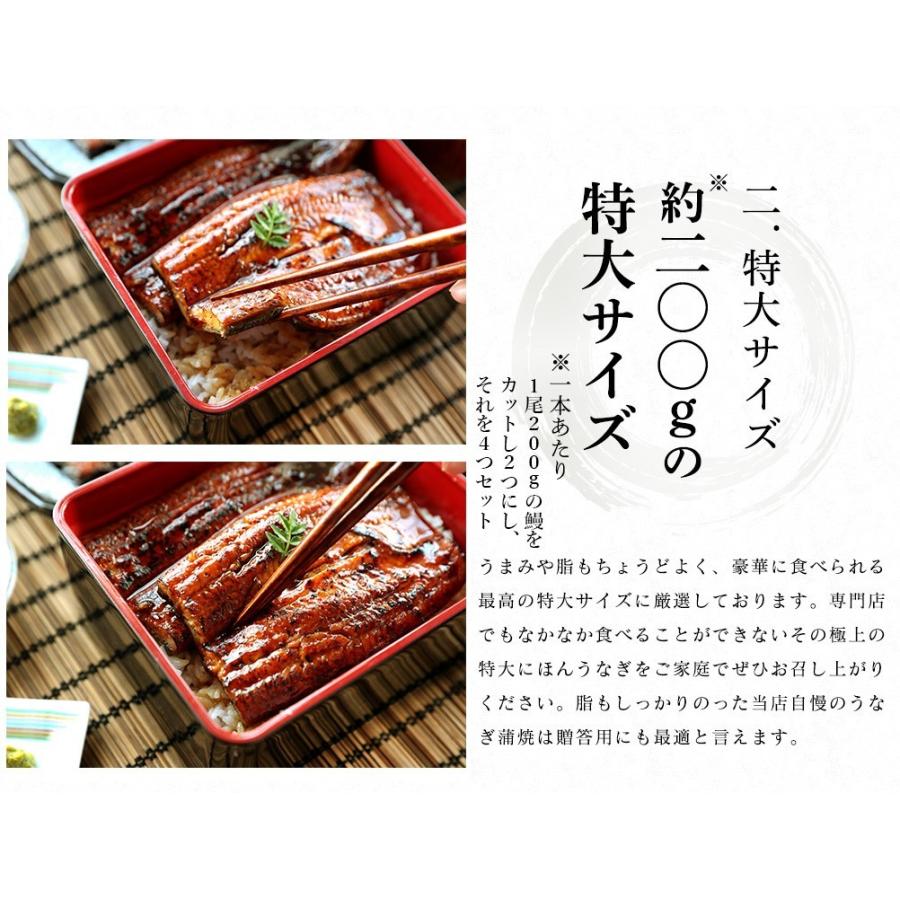 期間限定】天然物 ウナギ 特大サイズ 2匹
