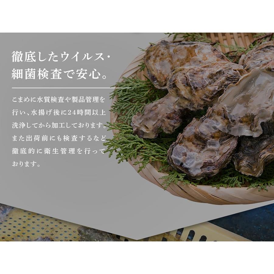 ※在庫切れ※ 生牡蠣 かき 国産 お刺し身OK 1200円OFFクーポン有 兵庫県室津産 殻つき牡蠣12粒1kg前後 身離れ済 切り外し作業不要 殻開き済 魚介類 海産物｜masuyone｜08