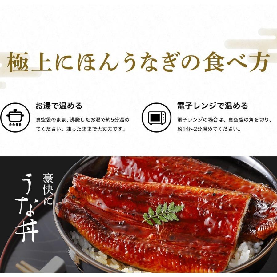 新仔うなぎ】大サイズ140g -170g三河一色産10尾セット 国産うなぎ