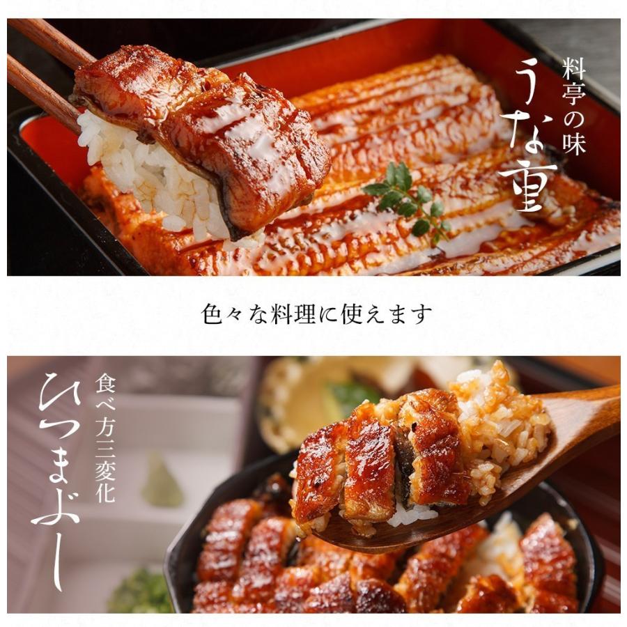 新仔うなぎ】大サイズ140g -170g三河一色産10尾セット 国産うなぎ
