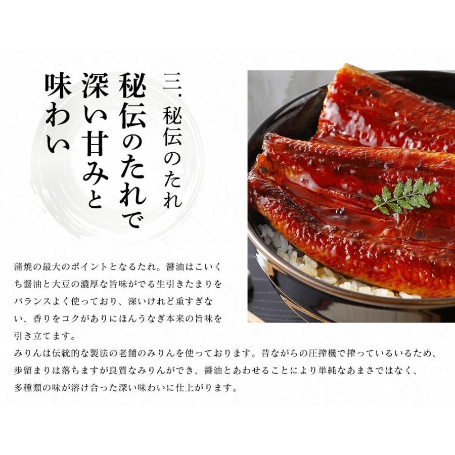 新仔うなぎ】大サイズ140g -170g三河一色産10尾セット 国産うなぎ