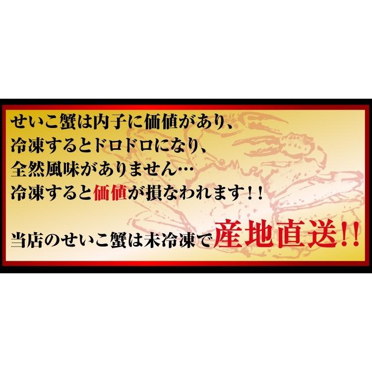 11月中旬発送 12月終売 かに カニ ズワイガニ ますよね 当店仲買人直競り 日本海せいこ蟹 約5匹 2-3人前 競りたて茹でたて 足折有 コッペ 香箱蟹 セコガニ 爆買 | ますよね | 10