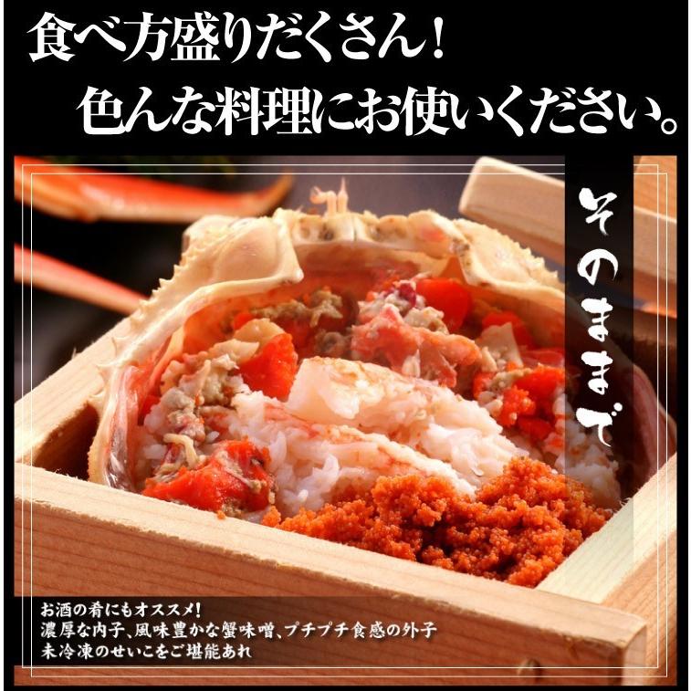 11月中旬発送 12月終売 かに カニ ズワイガニ ますよね 当店仲買人直競り 日本海せいこ蟹 約5匹 2-3人前 競りたて茹でたて 足折有 コッペ 香箱蟹 セコガニ 爆買 | ますよね | 12