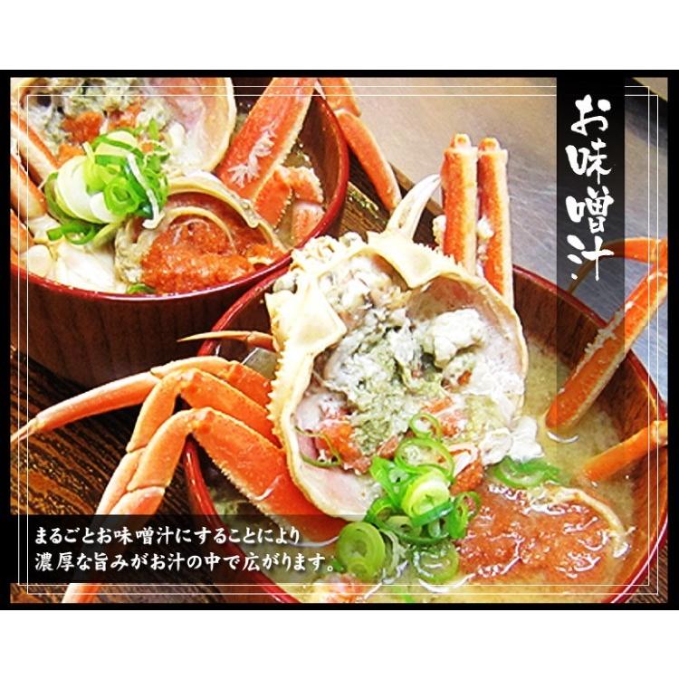 11月中旬発送 12月終売 かに カニ ズワイガニ ますよね 当店仲買人直競り 日本海せいこ蟹 約5匹 2-3人前 競りたて茹でたて 足折有 コッペ 香箱蟹 セコガニ 爆買 | ますよね | 14