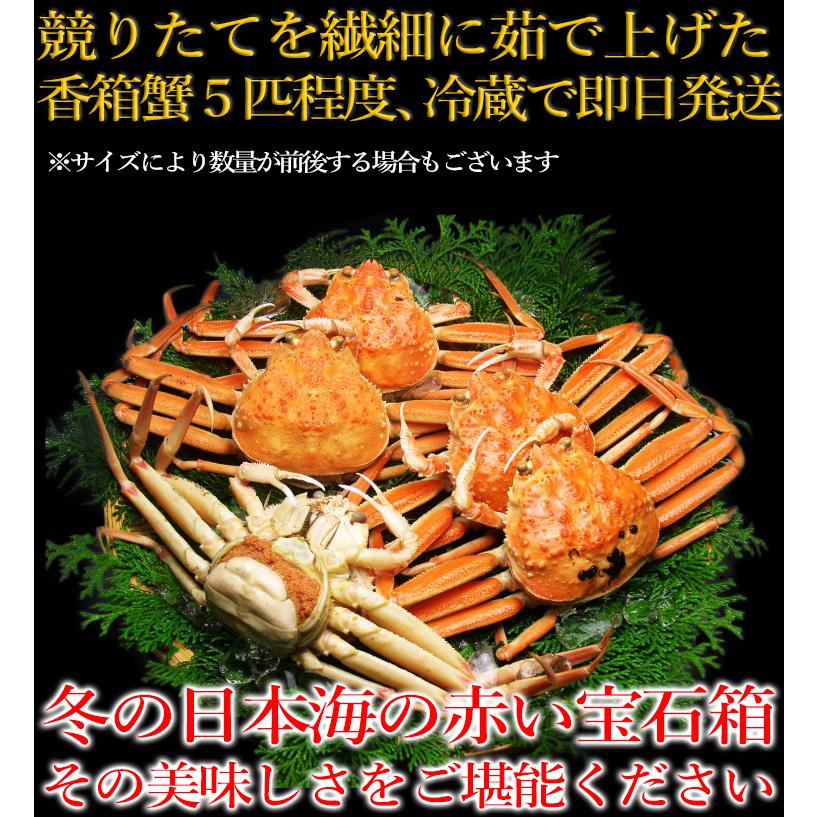 11月中旬発送 12月終売 かに カニ ズワイガニ ますよね 当店仲買人直競り 日本海せいこ蟹 約5匹 2-3人前 競りたて茹でたて 足折有 コッペ 香箱蟹 セコガニ 爆買 | ますよね | 15
