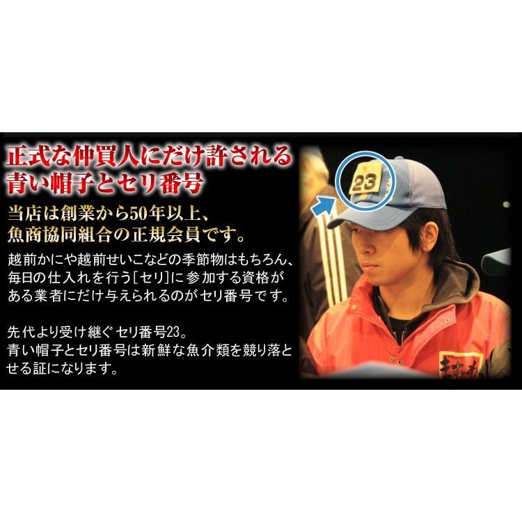 11月中旬発送 12月終売 かに カニ ズワイガニ ますよね 当店仲買人直競り 日本海せいこ蟹 約5匹 2-3人前 競りたて茹でたて 足折有 コッペ 香箱蟹 セコガニ 爆買 | ますよね | 16