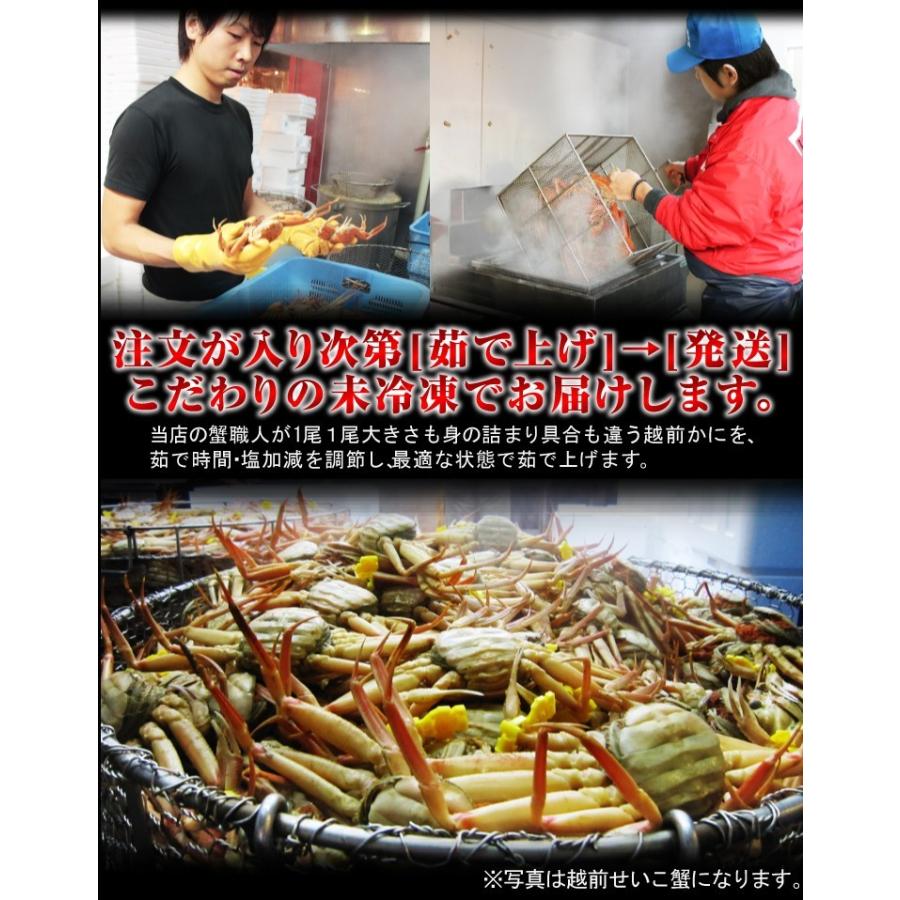 11月中旬発送 12月終売 かに カニ ズワイガニ ますよね 当店仲買人直競り 日本海せいこ蟹 約5匹 2-3人前 競りたて茹でたて 足折有 コッペ 香箱蟹 セコガニ 爆買 | ますよね | 18