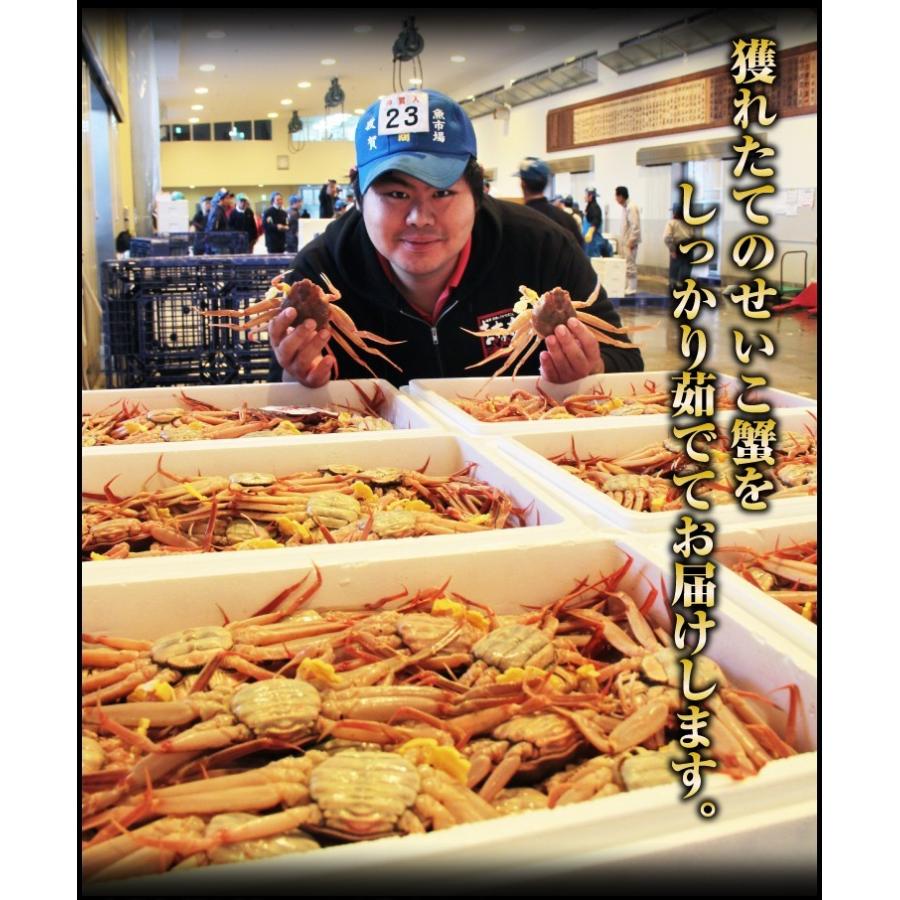 11月中旬発送 12月終売 かに カニ ズワイガニ ますよね 当店仲買人直競り 日本海せいこ蟹 約5匹 2-3人前 競りたて茹でたて 足折有 コッペ 香箱蟹 セコガニ 爆買 | ますよね | 19