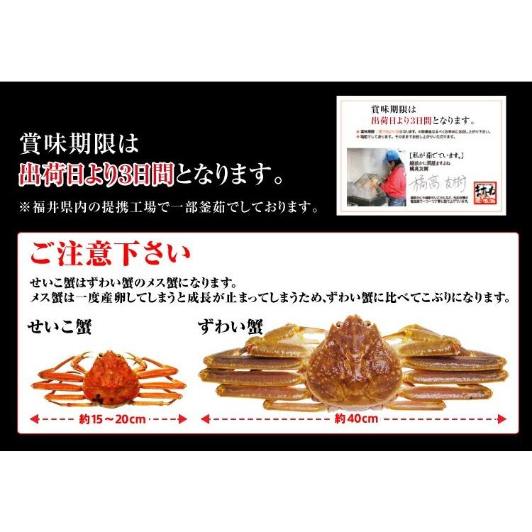 11/17で販売終了 新物 かに カニ セイコ ズワイガニ せいこ蟹 セコガニ 約5匹  競りたて茹でたて即日冷蔵で発送 足折有 越前松葉産 2-3人前 コッペガニ 香箱蟹｜masuyone｜03