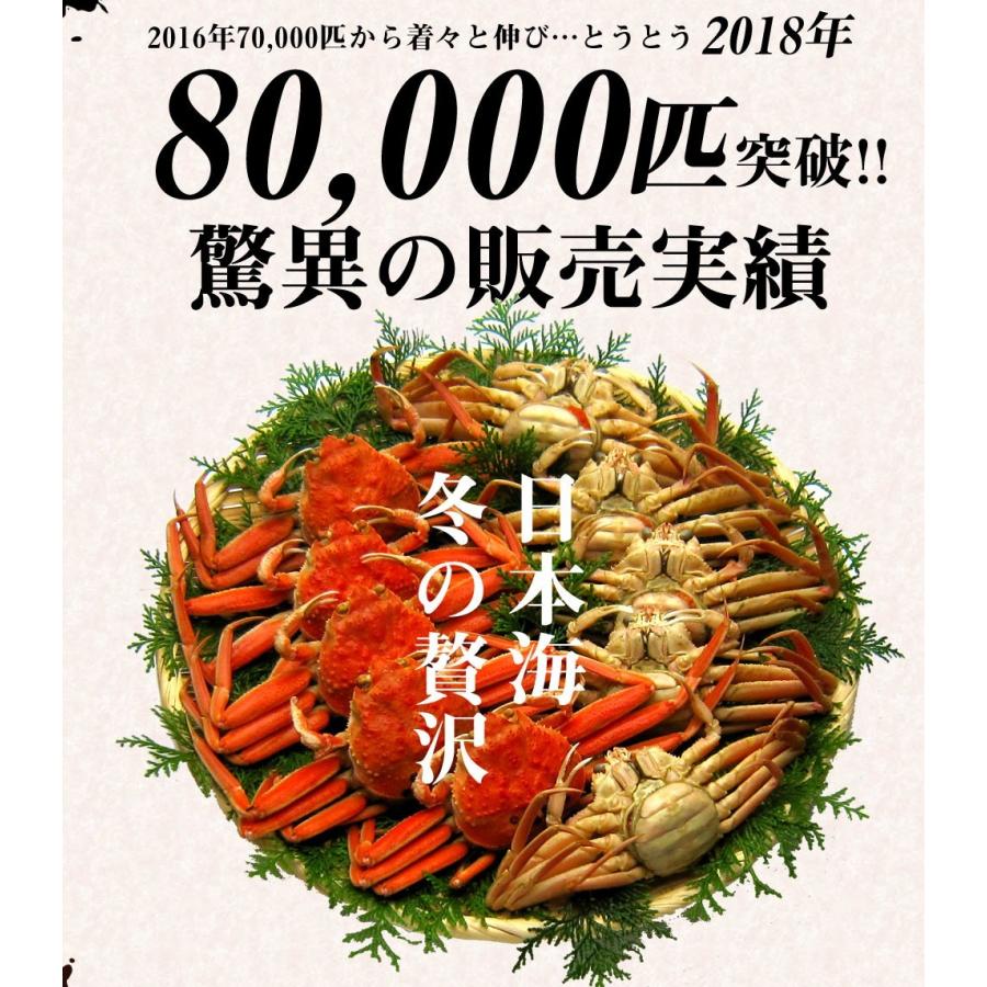11月中旬発送 12月終売 かに カニ ズワイガニ ますよね 当店仲買人直競り 日本海せいこ蟹 約5匹 2-3人前 競りたて茹でたて 足折有 コッペ 香箱蟹 セコガニ 爆買 | ますよね | 06