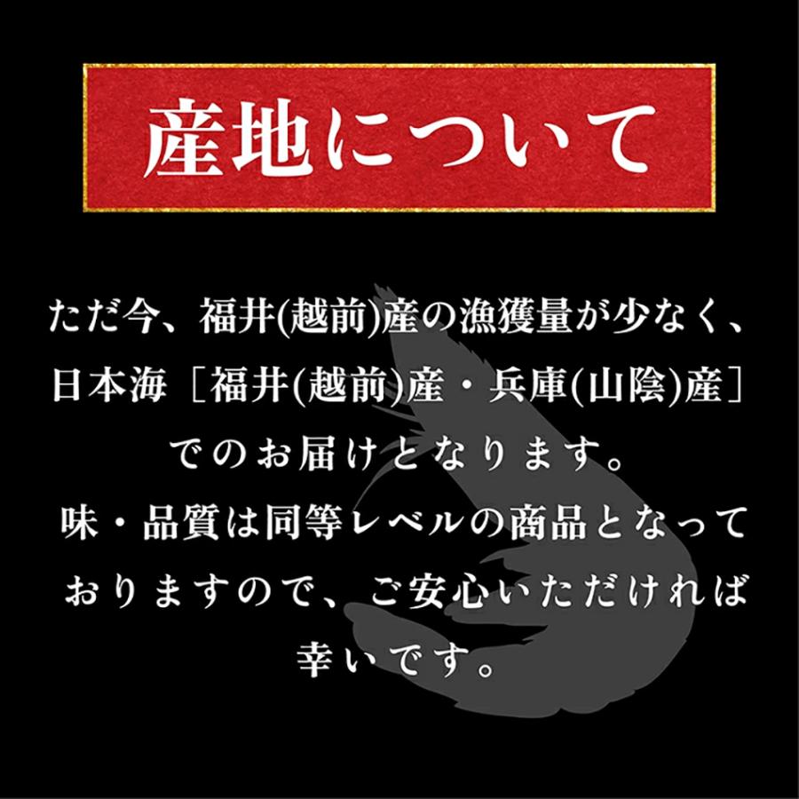 15個限定 エビ えび 海老 甘えび お刺身OK 福井越前産 兵庫山陰産 酸化防止剤無添加 日本海産 甘エビ1kg 子持ち500gx2箱 船内冷凍 魚介類 海鮮｜masuyone｜03