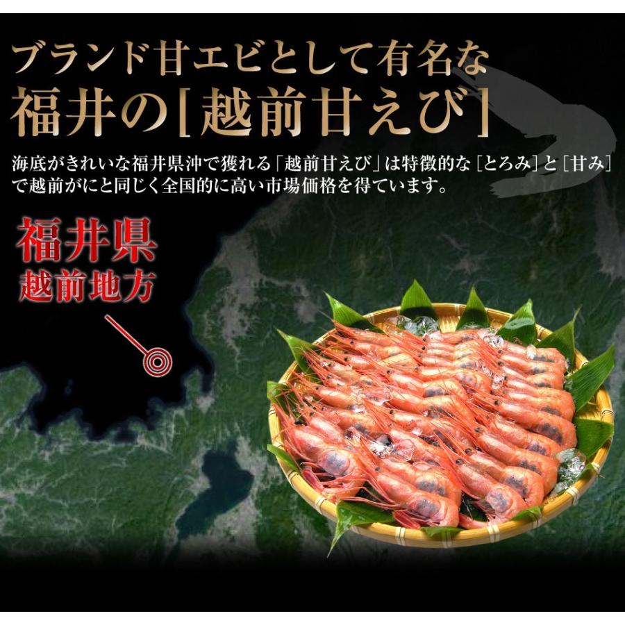 50個限定 えび 甘エビ エビ 福井越前産 兵庫山陰産 甘海老 お刺身OK 酸化防止剤無添加 子持ち甘エビ 生500g 獲れたて船上冷凍｜masuyone｜08