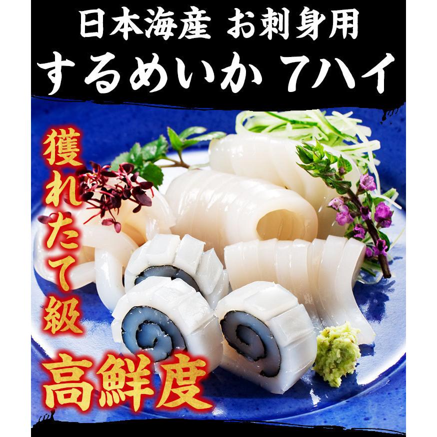 イカ いか 日本海産 生スルメイカ姿7ハイ 約1.3kg 7尾 1300g IQF冷凍 解凍後に吸盤が吸いつく鮮度 塩辛 お刺し身OK 刺身 魚介類 烏賊 海鮮｜masuyone｜05