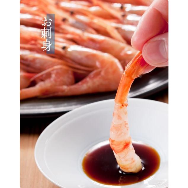 プレミアム会員なら5460円 ますよね 数量限定 甘エビ えび 海老 お刺し身OK 越前産甘えび 1kg 500g×2 船内冷凍 酸化防止剤無添加 訳あり 子無し 子なし | ますよね | 07