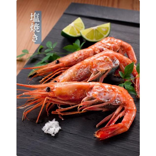 プレミアム会員なら5460円 ますよね 数量限定 甘エビ えび 海老 お刺し身OK 越前産甘えび 1kg 500g×2 船内冷凍 酸化防止剤無添加 訳あり 子無し 子なし | ますよね | 08