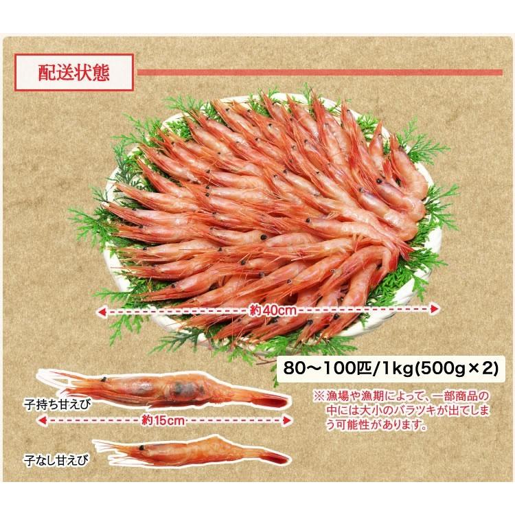 プレミアム会員なら5460円 ますよね 数量限定 甘エビ えび 海老 お刺し身OK 越前産甘えび 1kg 500g×2 船内冷凍 酸化防止剤無添加 訳あり 子無し 子なし | ますよね | 16
