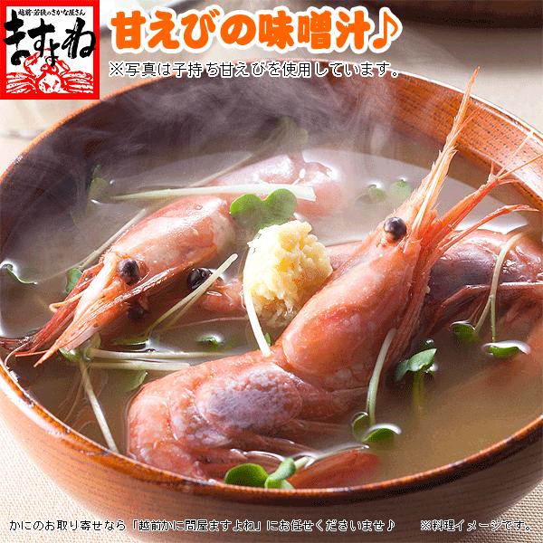 福井県越前沖産 エビ 甘エビ 海老 酸化防止剤無添加 刺身OK 訳あり越前甘えび500g 子無し 小型 40-50匹 日本海 獲れたて船内冷凍 送込 :y-aebi-s09:越前かに問屋ますよね公式ストア - 通販 - Yahoo!ショッピング 福井県越前沖産 エビ 甘エビ 海老 酸化防止剤無添加 刺身OK 訳あり越前甘えび500g 子無し 小型 40-50匹 日本海 獲れたて船内冷凍 送込 :y-aebi-s09:越前かに問屋ますよね公式ストア - 通販 - Yahoo!ショッピング