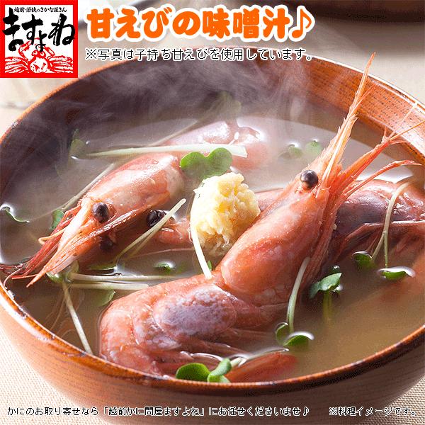 数量限定 福井県越前産 エビ 甘エビ 海老 酸化防止剤無添加 刺身OK 子無し 小型 訳あり 越前甘えび500g 40-50匹 船内冷凍 魚介類 海産物｜masuyone｜05