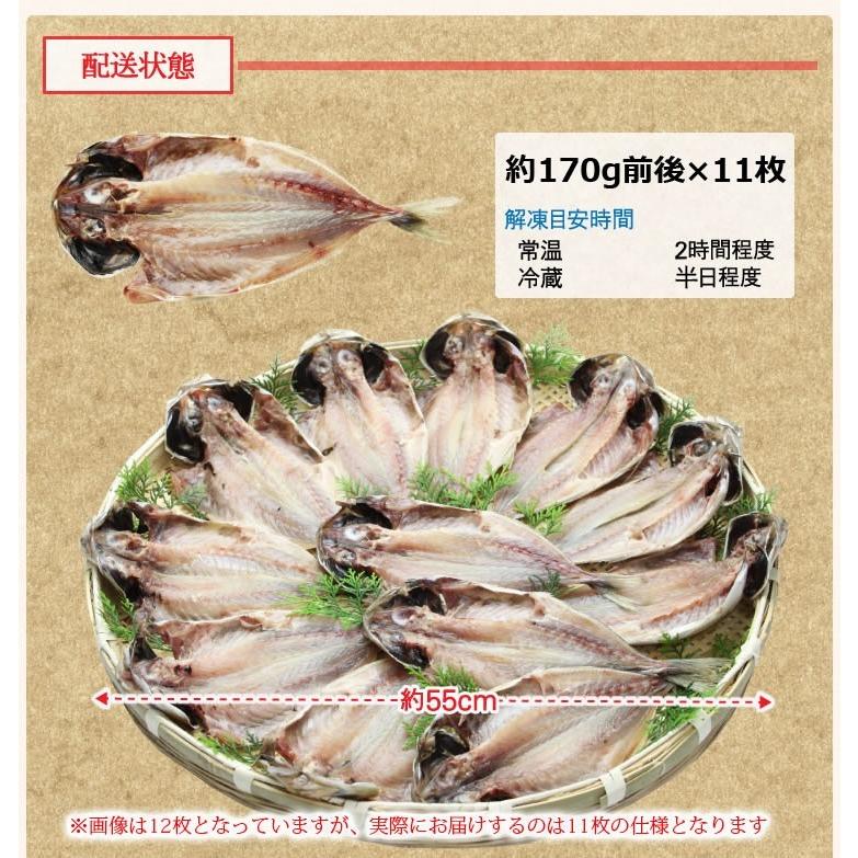 ※在庫切れ終売※ 見切り品16％OFFセール アジ あじ 鯵 干物 一夜干し 脂のり良し＆肉厚 アジ開き干し 150-170g前後×11枚 焼き魚 焼魚 同梱不可 冷凍便｜masuyone｜03