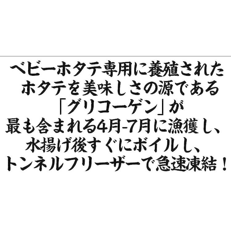 ホタテ ホタテ貝柱 ほたて 帆立 陸奥湾産 2L茹でベビーホタテ正味1kg 個別冷凍61〜80粒 ベビー帆立 貝ヒモ付 同梱不可 魚介類 海産物 海鮮｜masuyone｜09