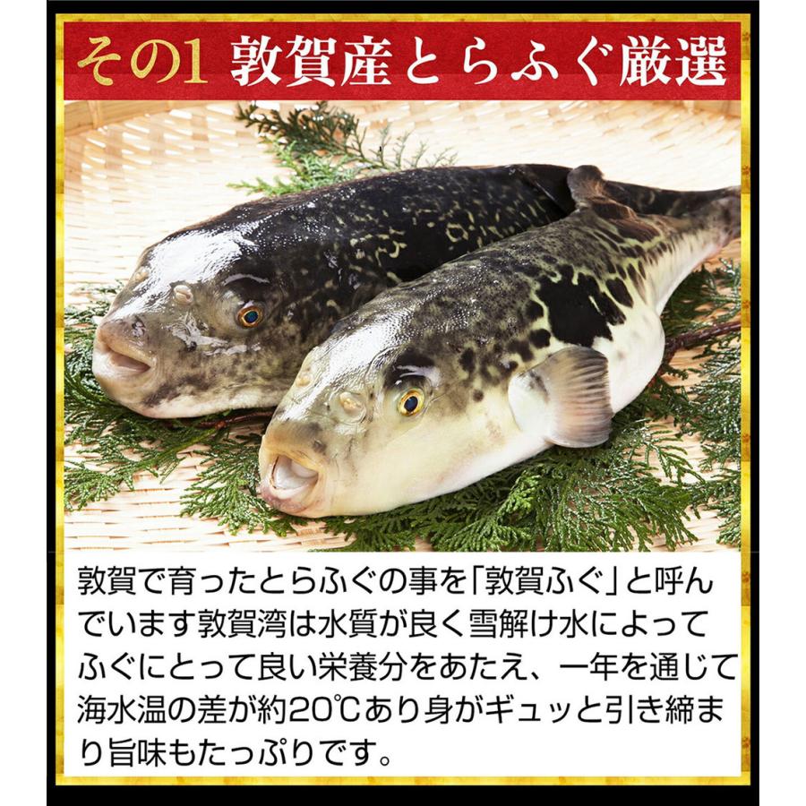 数量限定50個 ふぐ フグ 河豚 とらふぐ てっさ 敦賀産 下関加工 トラフグ菊盛り刺身 ふぐ刺し 4人前 皮刺 ポン酢 薬味付 お刺し身 ギフト｜masuyone｜02